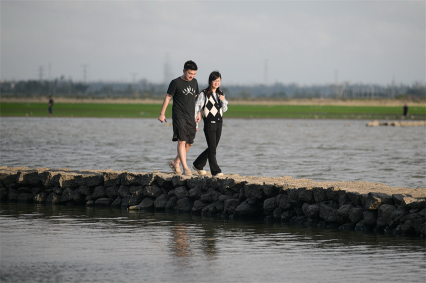 Haikou: ponte da serpente exposta após queda de nível de água atrai visitantes