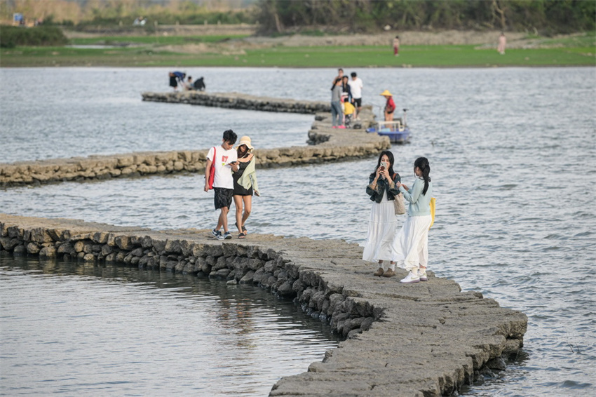 Haikou: ponte da serpente exposta após queda de nível de água atrai visitantes