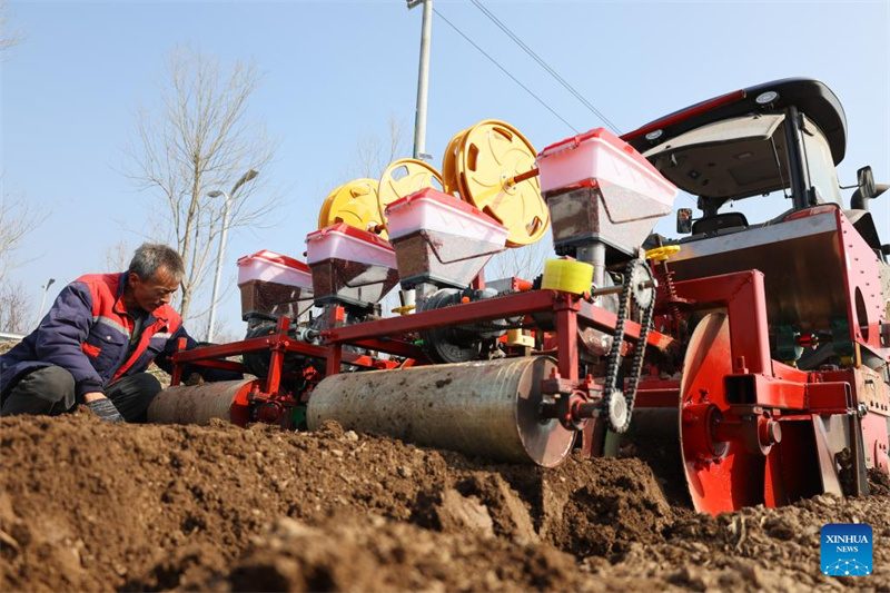 Agricultores chineses trabalham em ritmo acelerado no início da primavera