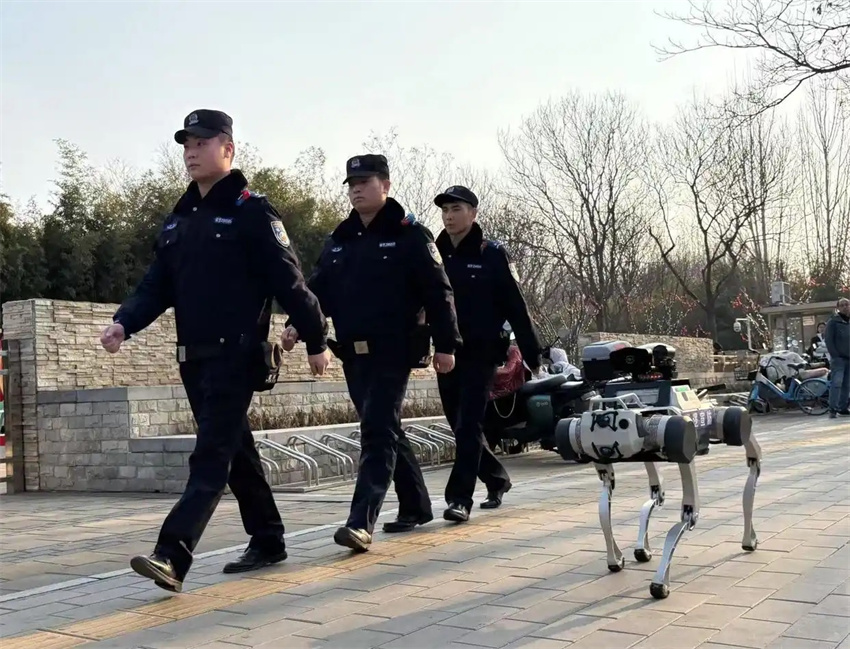 Cães robóticos patrulham parque de Beijing