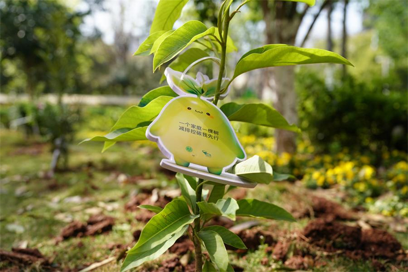 Kunming promove atividade de plantio antes do Dia Nacional da Árvore