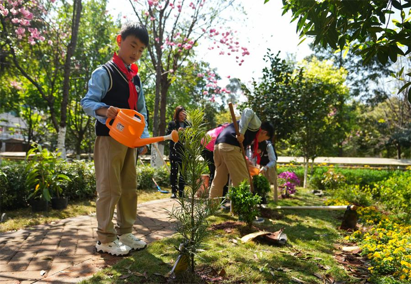 Kunming promove atividade de plantio antes do Dia Nacional da Árvore