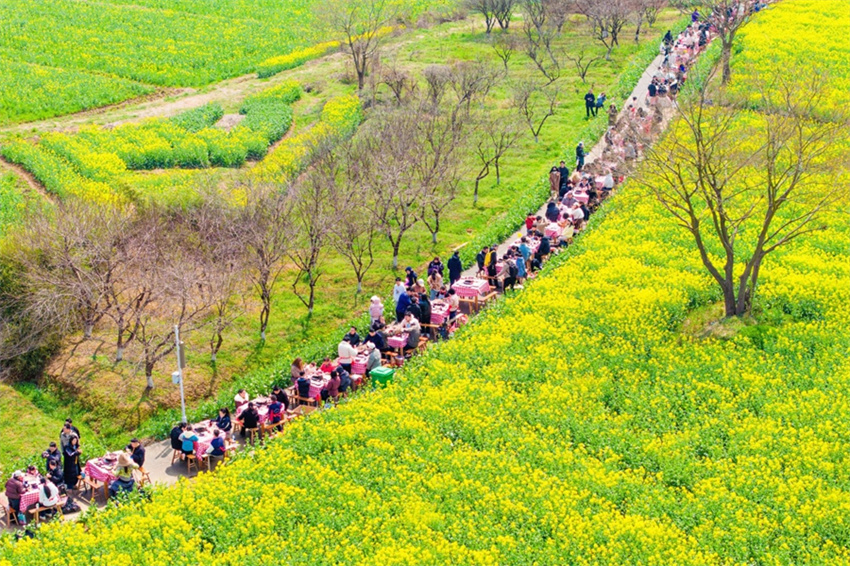 Nanjing: flores de colza impulsionam economia local