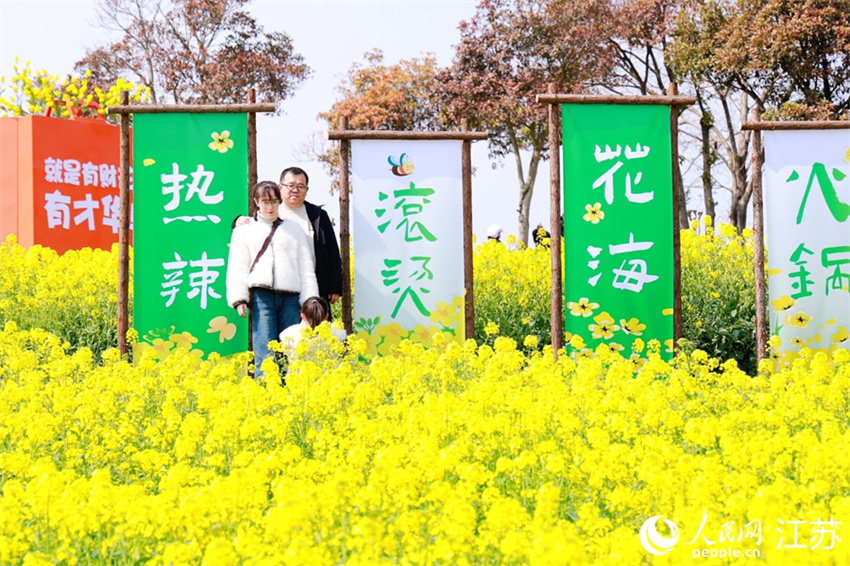 Nanjing: flores de colza impulsionam economia local