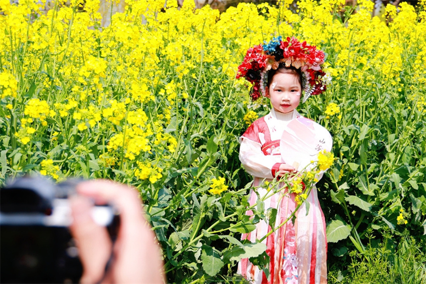 Nanjing: flores de colza impulsionam economia local