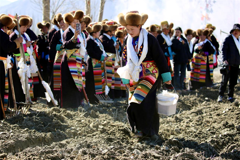 Início do plantio da primavera em Xizang