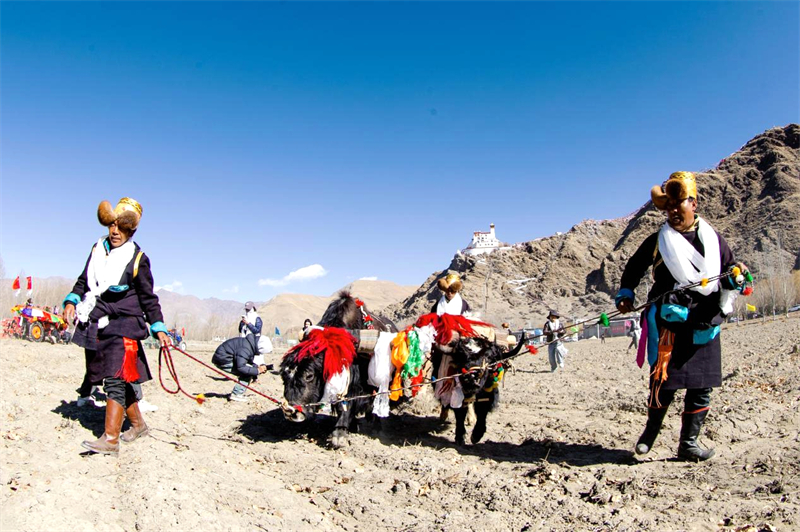 Início do plantio da primavera em Xizang