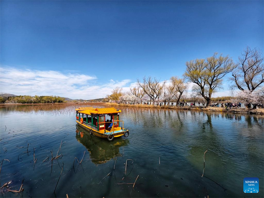 Galeria: Cenário da primavera em toda a China