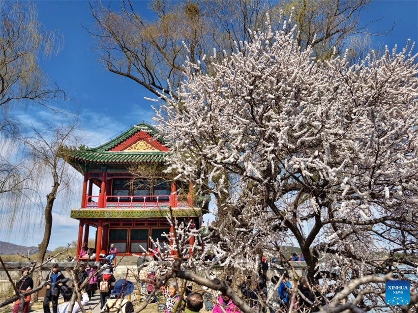 Galeria: Cenário da primavera em toda a China