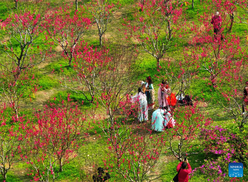 Galeria: Cenário da primavera em toda a China