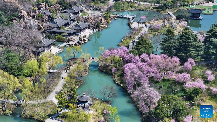 Galeria: Cenário da primavera em toda a China