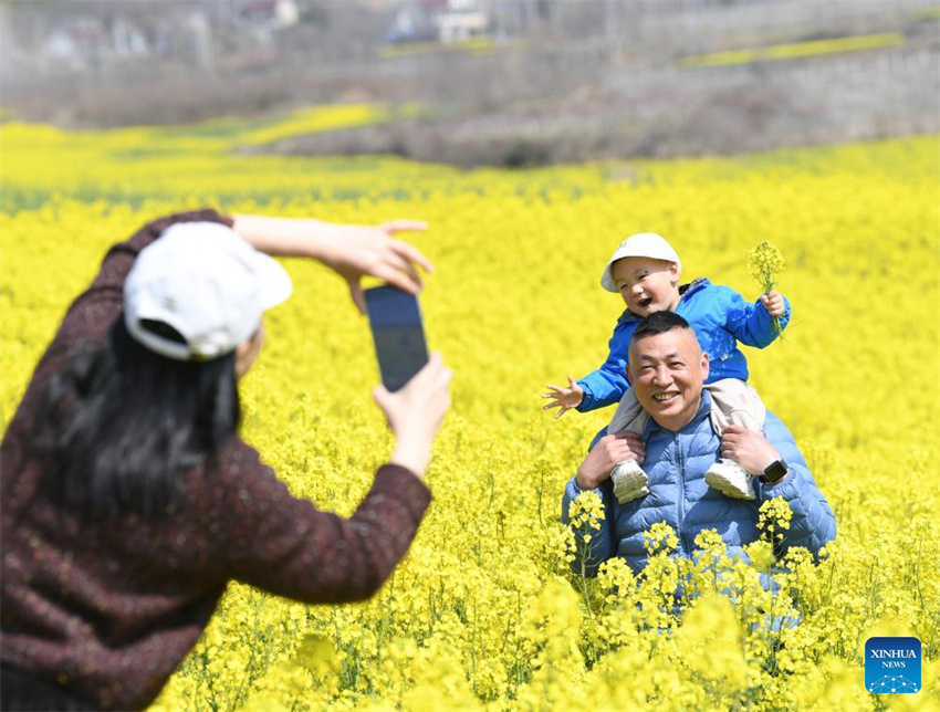 Galeria: Cenário da primavera em toda a China