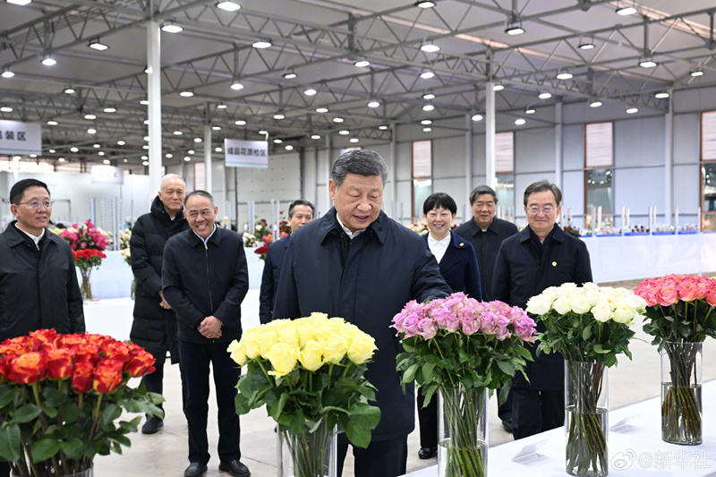 Xi Jinping visita parque industrial de flores na Província de Yunnan, sudoeste da China