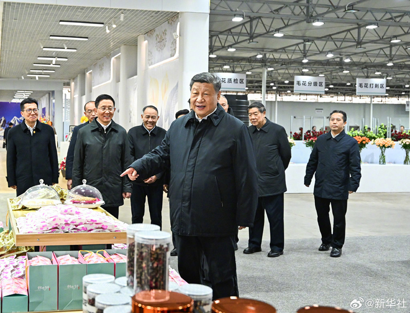 Xi Jinping visita parque industrial de flores na Província de Yunnan, sudoeste da China