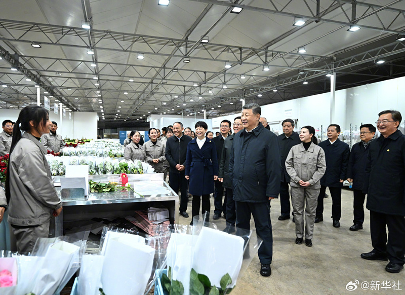 Xi Jinping visita parque industrial de flores na Província de Yunnan, sudoeste da China