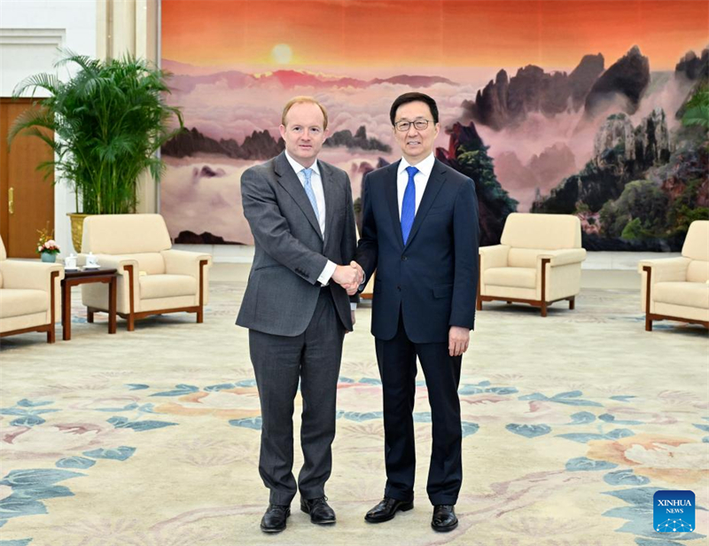 Vice-presidente chinês se reúne com presidente da Swire Pacific Limited e com CEO da Novartis