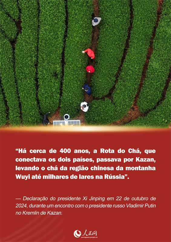 Pôster: resenha de Xi Jinping sobre o chá de Fujian