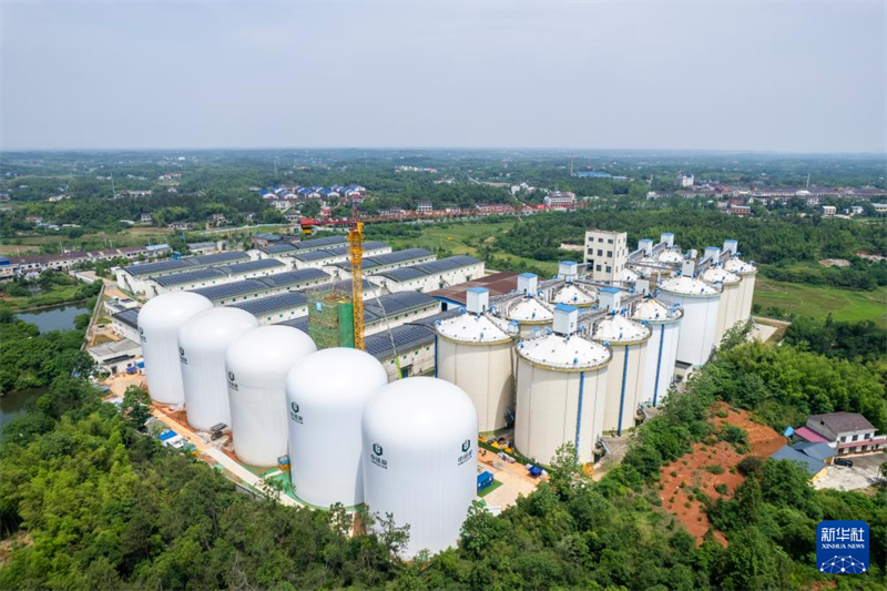 Visita aos primeiros cinco armazéns de grãos com estrutura de membrana de ar de 9.000 toneladas na China