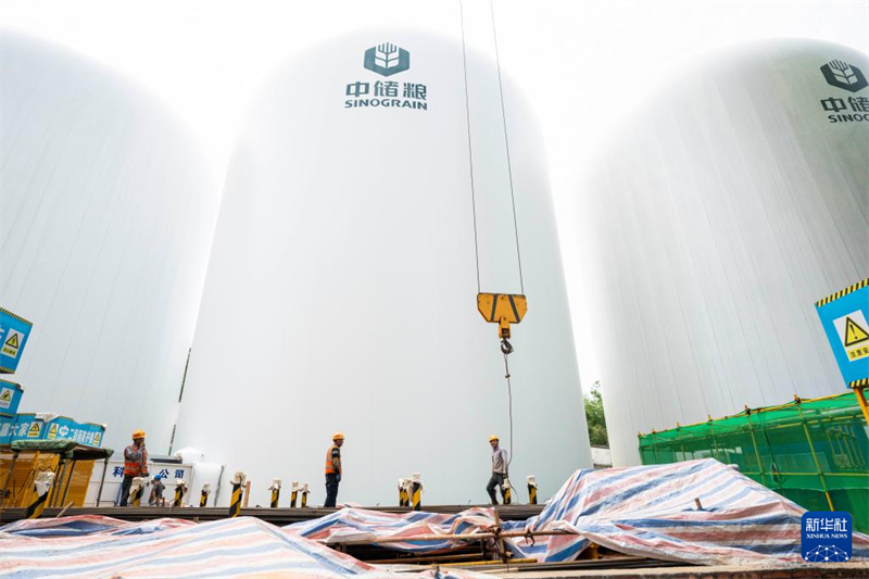 Visita aos primeiros cinco armazéns de grãos com estrutura de membrana de ar de 9.000 toneladas na China