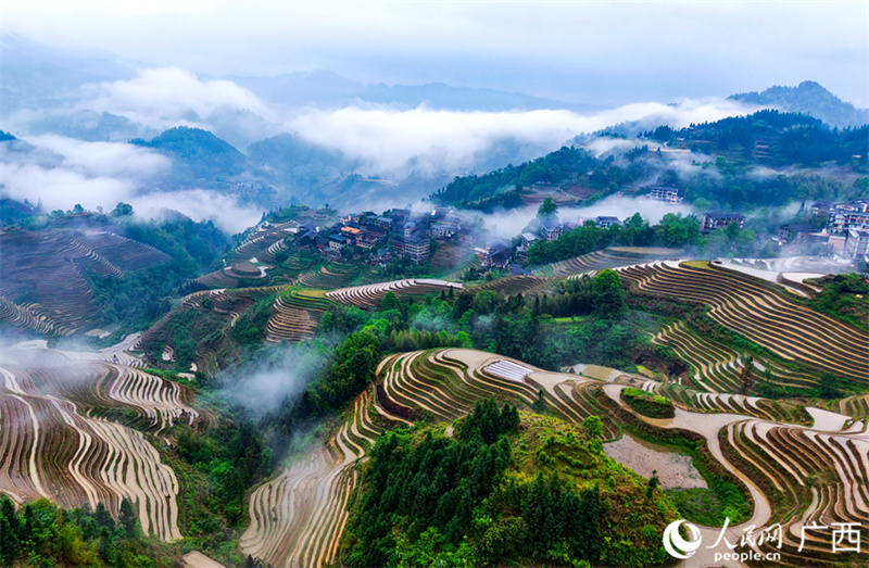 Guangxi: beleza dos terraços atrai visitantes