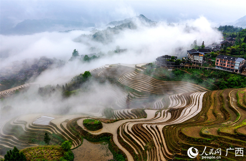 Guangxi: beleza dos terraços atrai visitantes