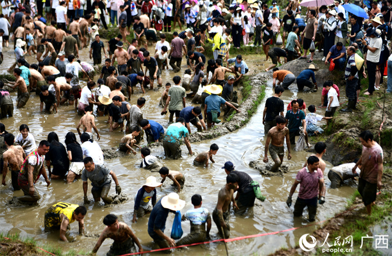 Guangxi: beleza dos terraços atrai visitantes