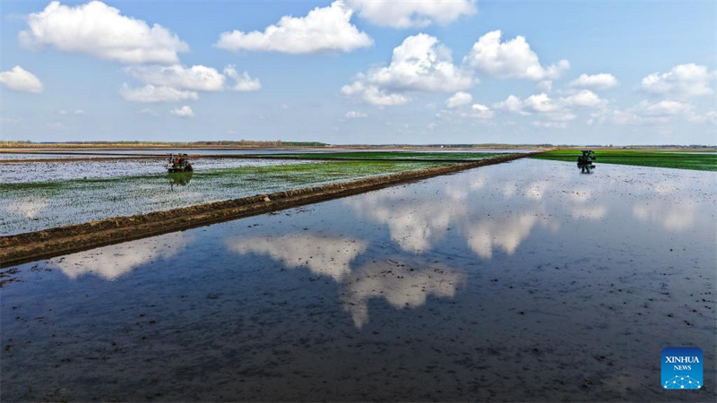Galeria: semeadura de primavera em Heilongjiang