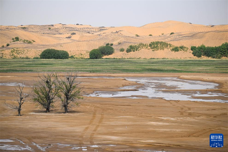 Mongólia Interior: luta contra a desertificação está em curso em Dalat Qi
