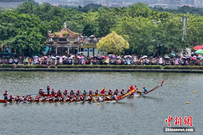 Fujian: 100 barcos-dragão competem nas águas do rio Mulanxi, em Putian