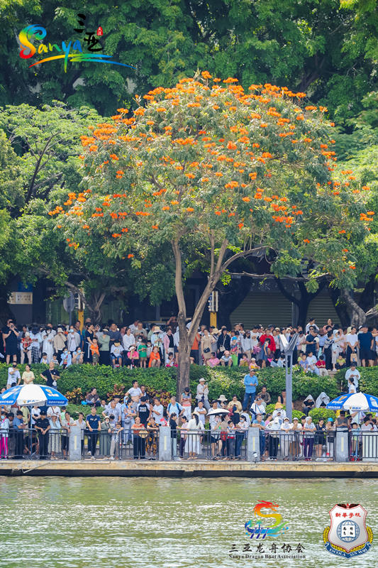 Festival do Barco-Dragão é repleto de belezas naturais em Sanya