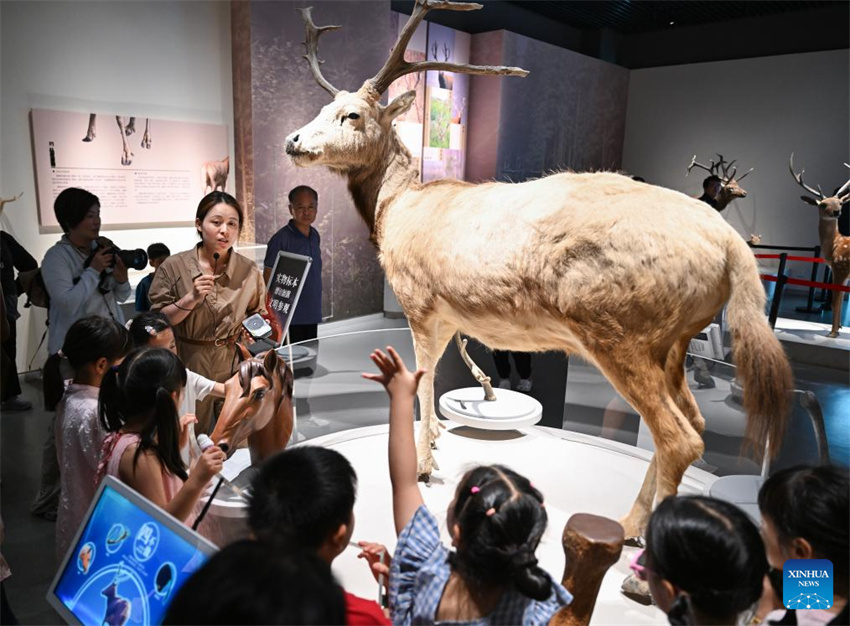 Guardiã do cervo-milu se dedica à busca da harmonia entre a humanidade e a natureza