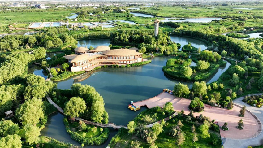 Início do verão exuberante no Oásis no deserto de Zhangye, noroeste da China
