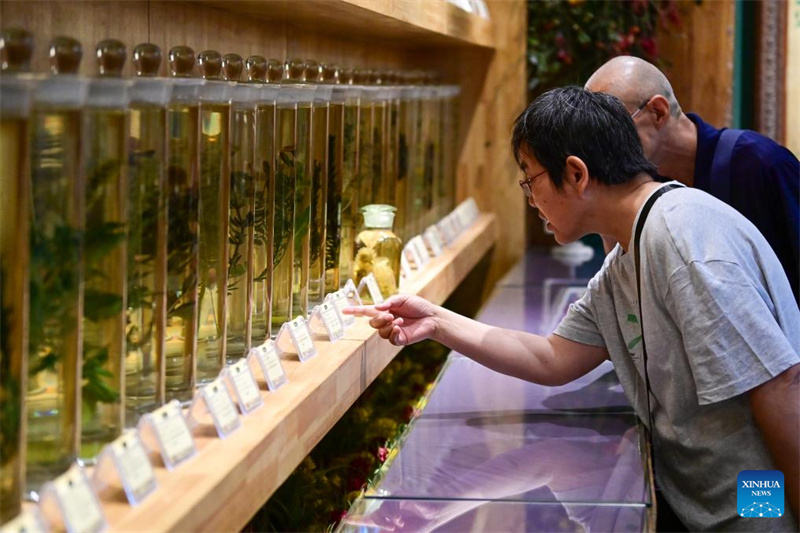 Festival de turismo de lavanda promove desenvolvimento econômico em Xinjiang