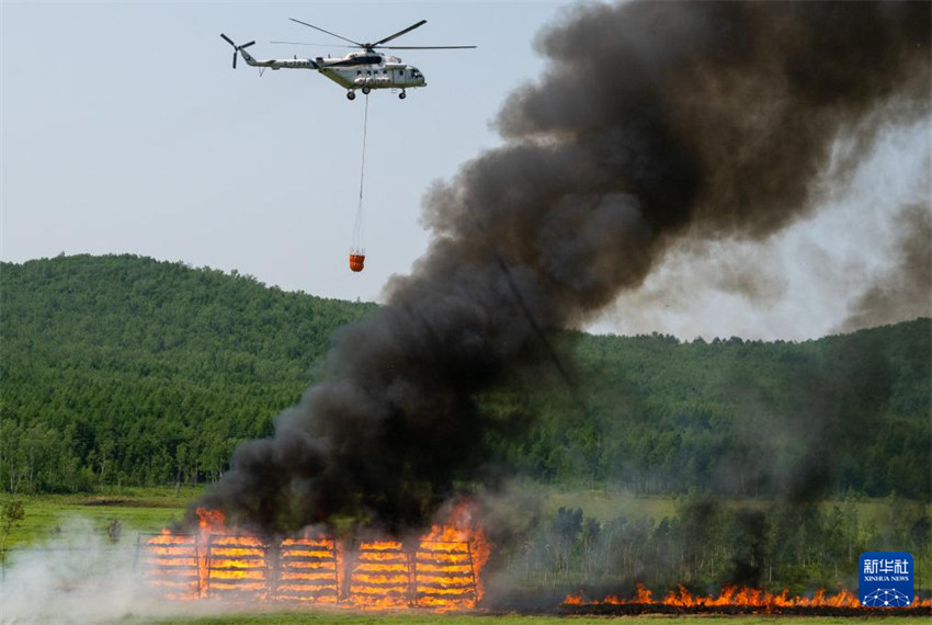 Exercício de combate a incêndios florestais “Missão de Emergência 2025