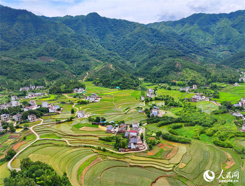 Belos terraços verdes em Jiangxi, sul da China
