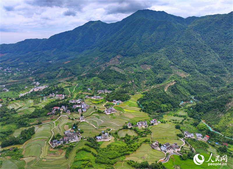 Belos terraços verdes em Jiangxi, sul da China