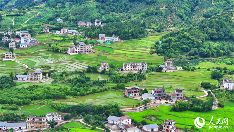 Belos terraços verdes em Jiangxi, sul da China
