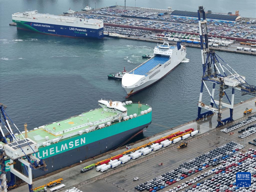 Shandong: porto de Yantai vê movimentação de veículos de exportação