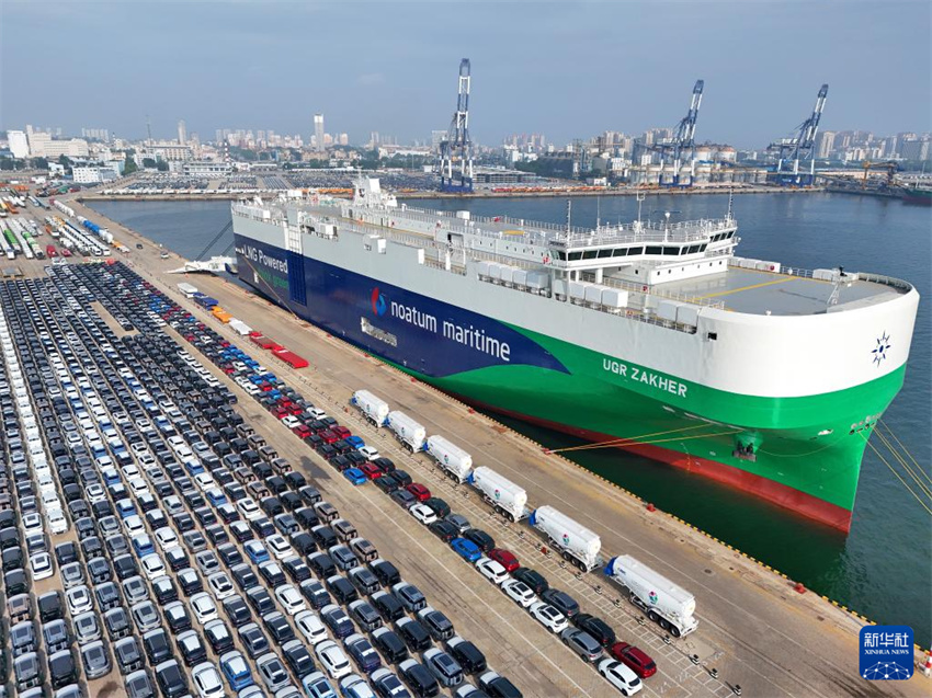 Shandong: porto de Yantai vê movimentação de veículos de exportação