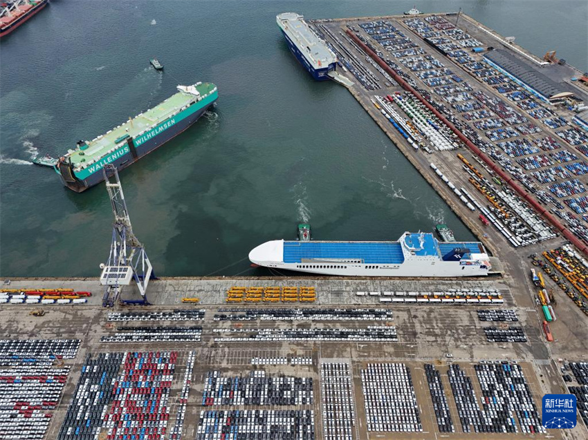 Shandong: porto de Yantai vê movimentação de veículos de exportação
