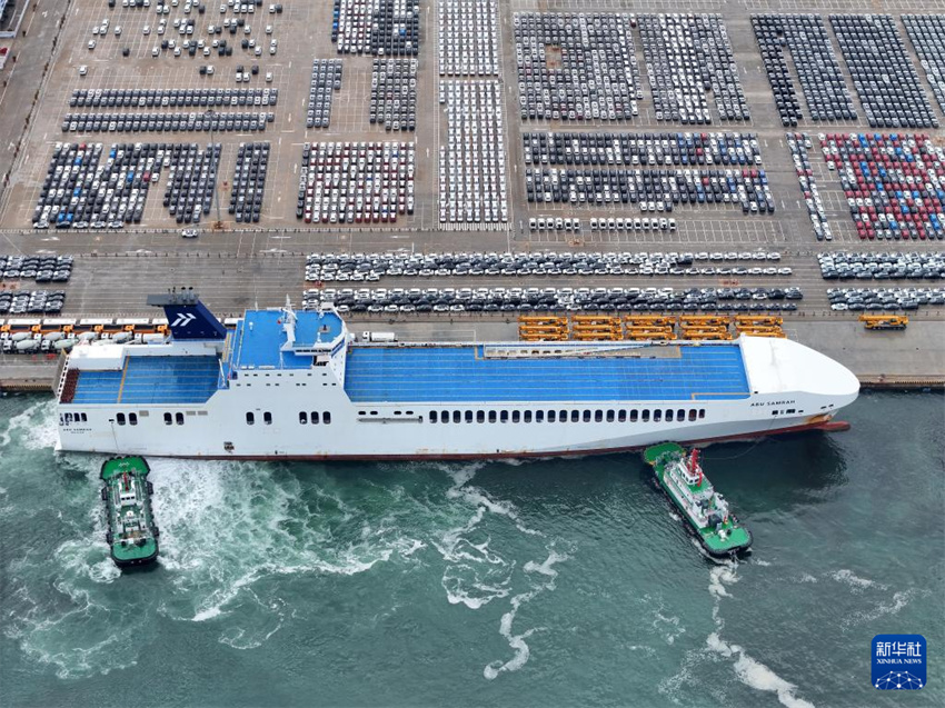 Shandong: porto de Yantai vê movimentação de veículos de exportação