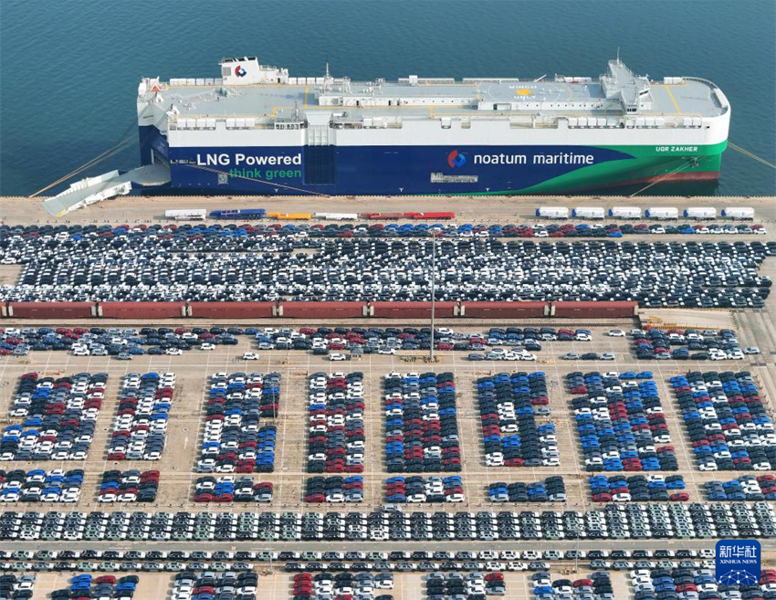 Shandong: porto de Yantai vê movimentação de veículos de exportação