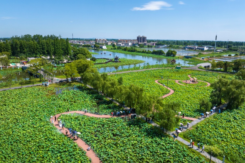 Anhui: Wuhu impulsiona revitalização rural com integração agrícola e cultural