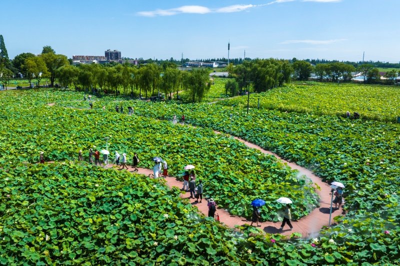 Anhui: Wuhu impulsiona revitalização rural com integração agrícola e cultural