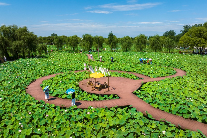 Anhui: Wuhu impulsiona revitalização rural com integração agrícola e cultural