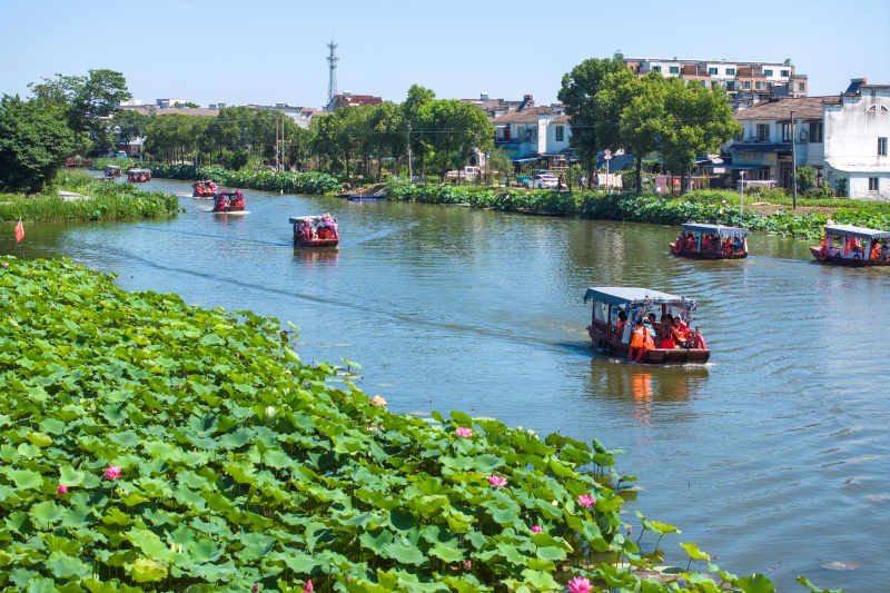 Anhui: Wuhu impulsiona revitalização rural com integração agrícola e cultural