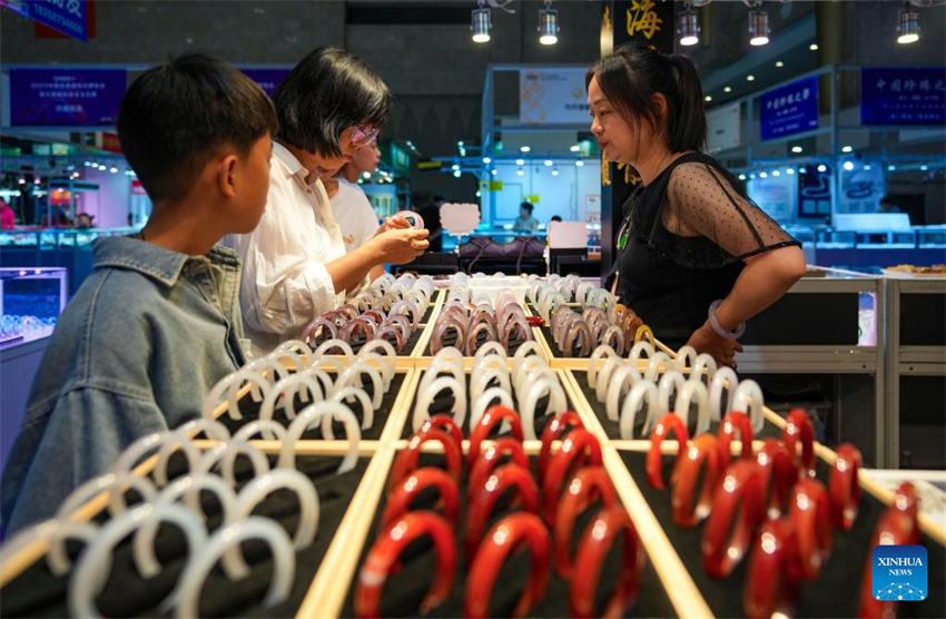 Exposição Internacional de Pedras da China (Kunming) 2025 é inaugurada em Yunnan
