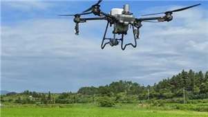 Guangxi une forças com IA para transformação de áreas ruraisO objetivo do evento foi promover a evolução do desenvolvimento rural da região do paradigma “movido a esforço físico” para “movido a dados e inteligência”. 