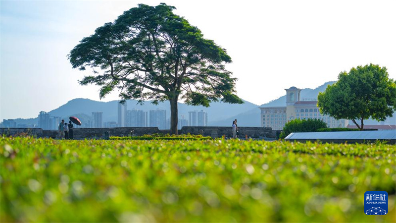 Status de patrimônio do Centro Histórico de Macau destaca abertura da cultura chinesa, diz presidente da Federação das Associações dos Setores Culturais de Macau