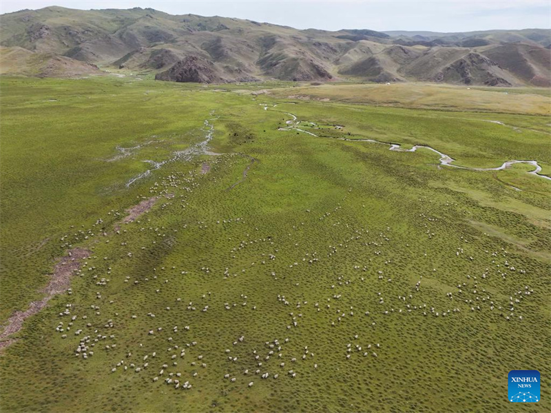 Rodovia Dushanzi-Kuqa de Xinjiang registra boom de turismo no verão